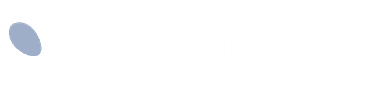Circonspect Logo